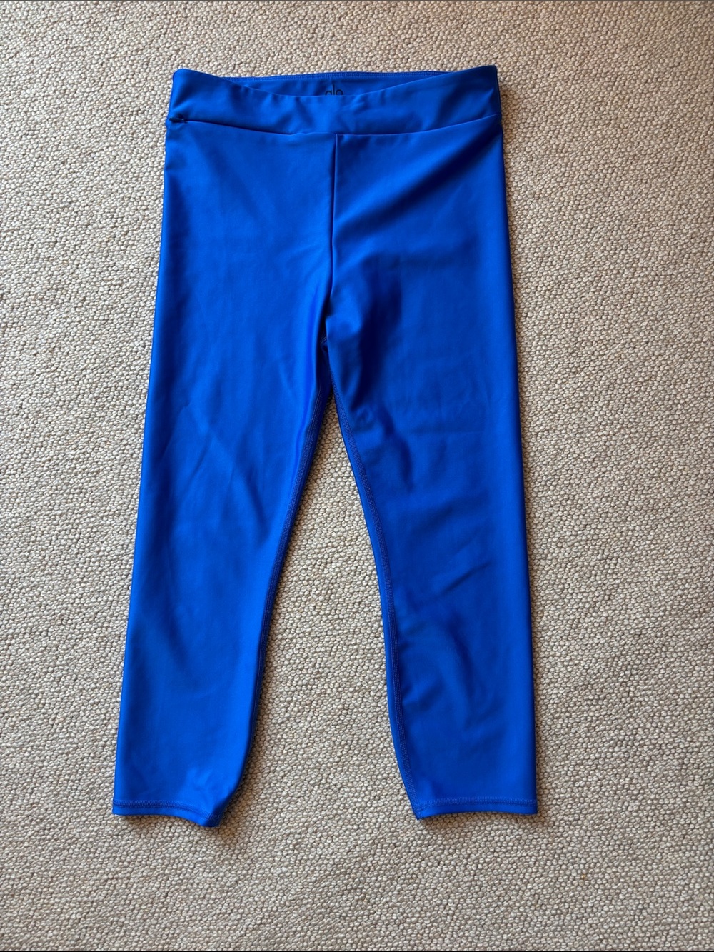 ALO Yoga Women's Blue Leggings